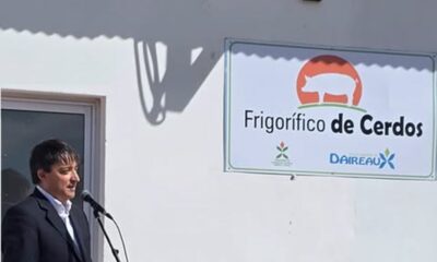 frigorífico de cerdos Daireaux