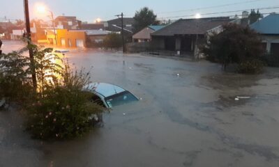 bahia blanca muertos